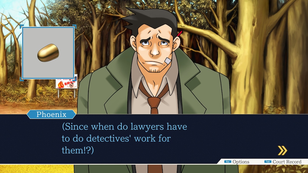 ace attorney game screenshot