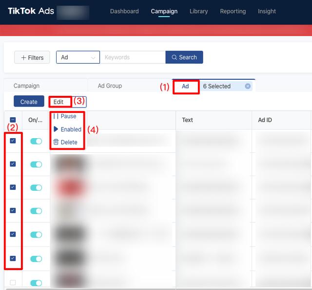 TikTok ads updates - Bulk