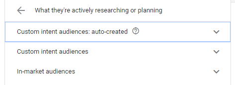 auto created audience