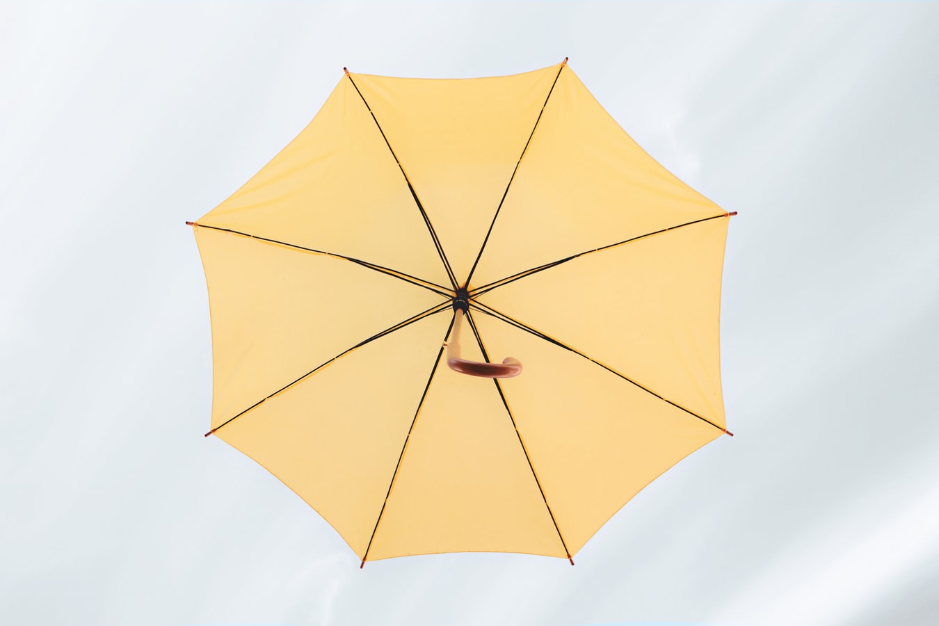 umbrella subscription