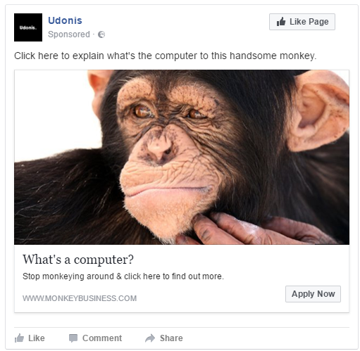 Udonis digital marketing agency - 5 Stages Of Market Awareness - Monkey Business